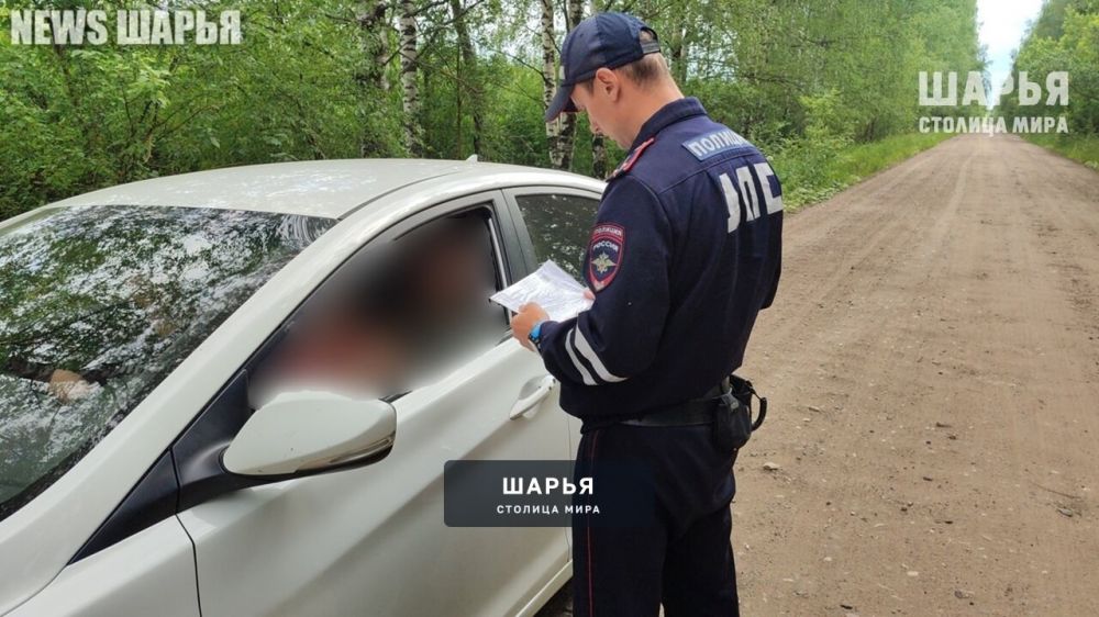 Шарьинский питбайкер без прав сможет обдумать свое поведение "за решеткой" — Шарья