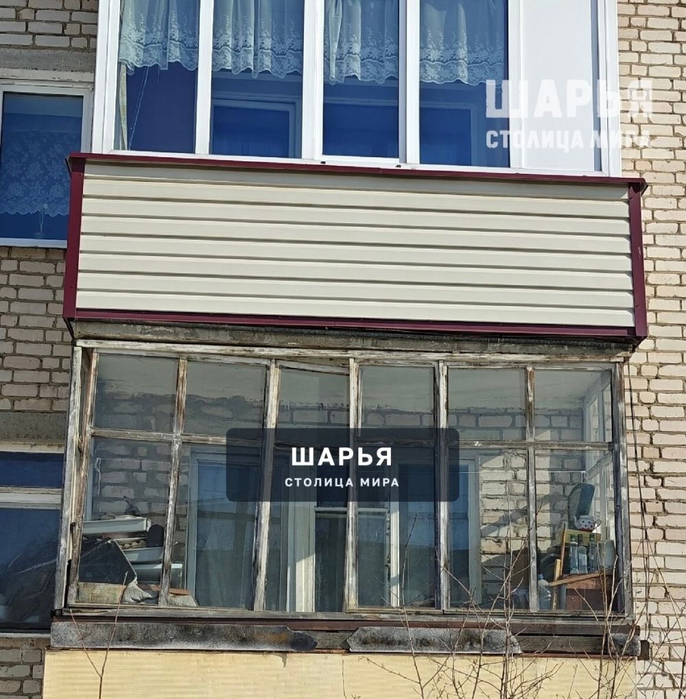 В Шарье появился биологический террорист — Шарья — фото 3