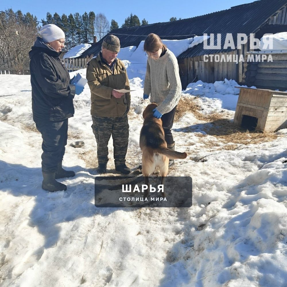 Профилактика бешенства: работаем на опережение — Шарья — фото 2