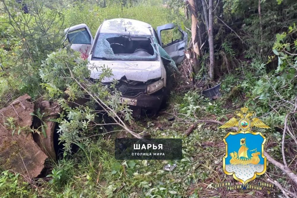 Сегодня произошло смертельное ДТП на трассе «Пыщуг — Павино — Вохма — Боговарово» — Шарья — фото 2
