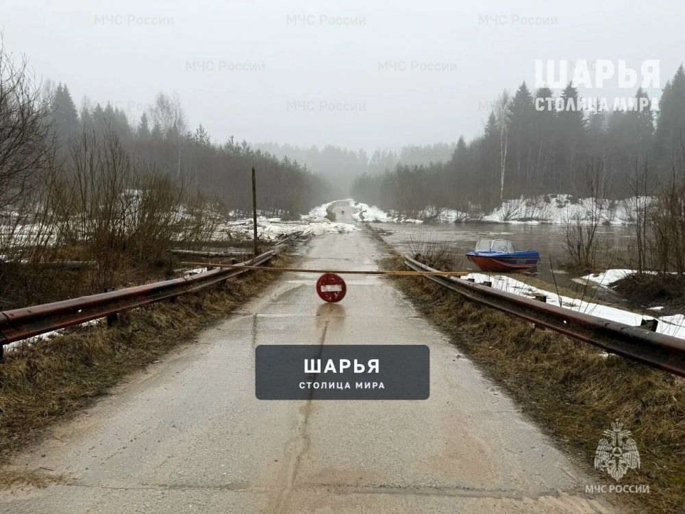 В трех районах региона открыты лодочные переправы — Шарья