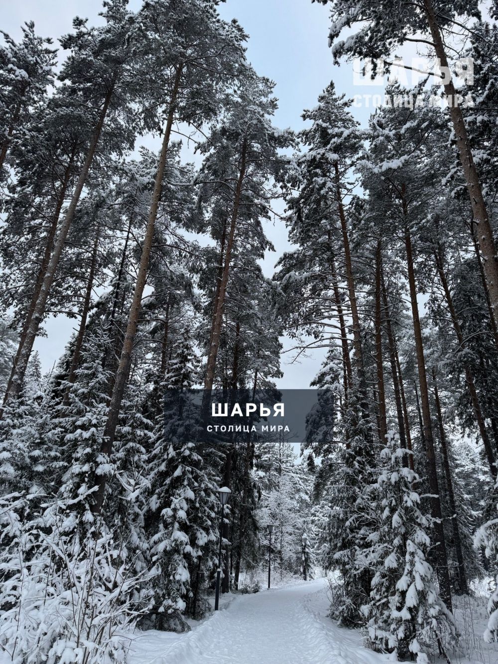Красота какая в городском парке — Шарья