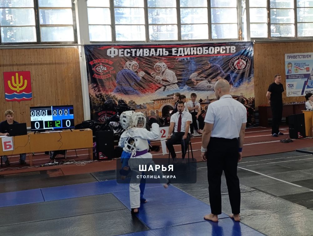 В Шарье в эти минуты проходит Фестиваль единоборств — Шарья — фото 5