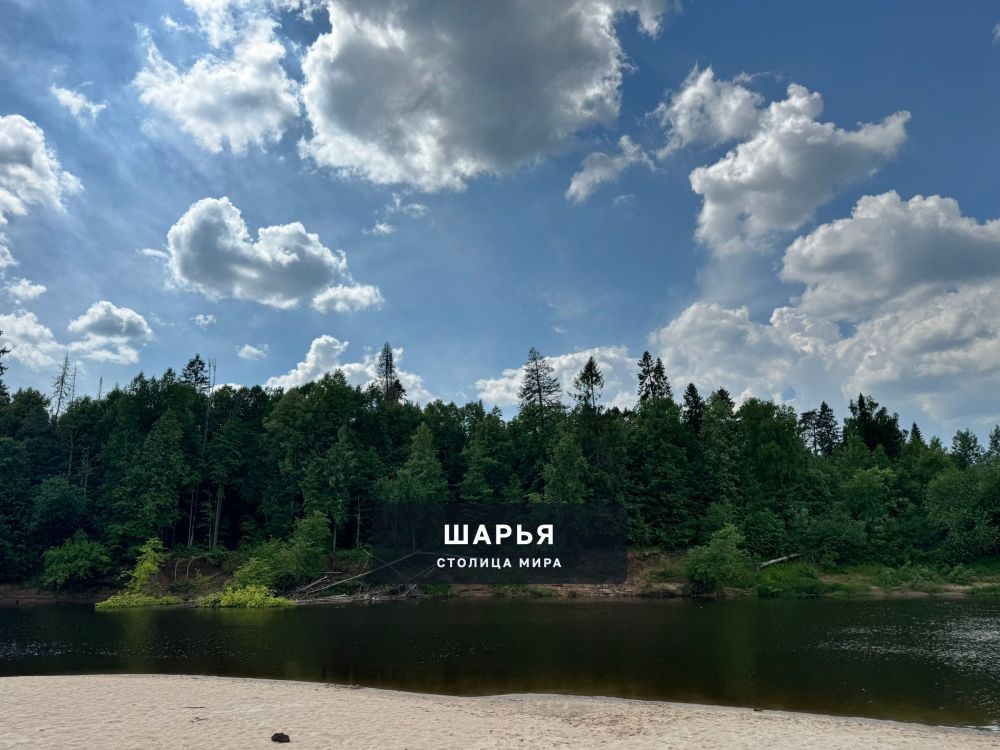 Река Ветлуга — Шарья — фото 3
