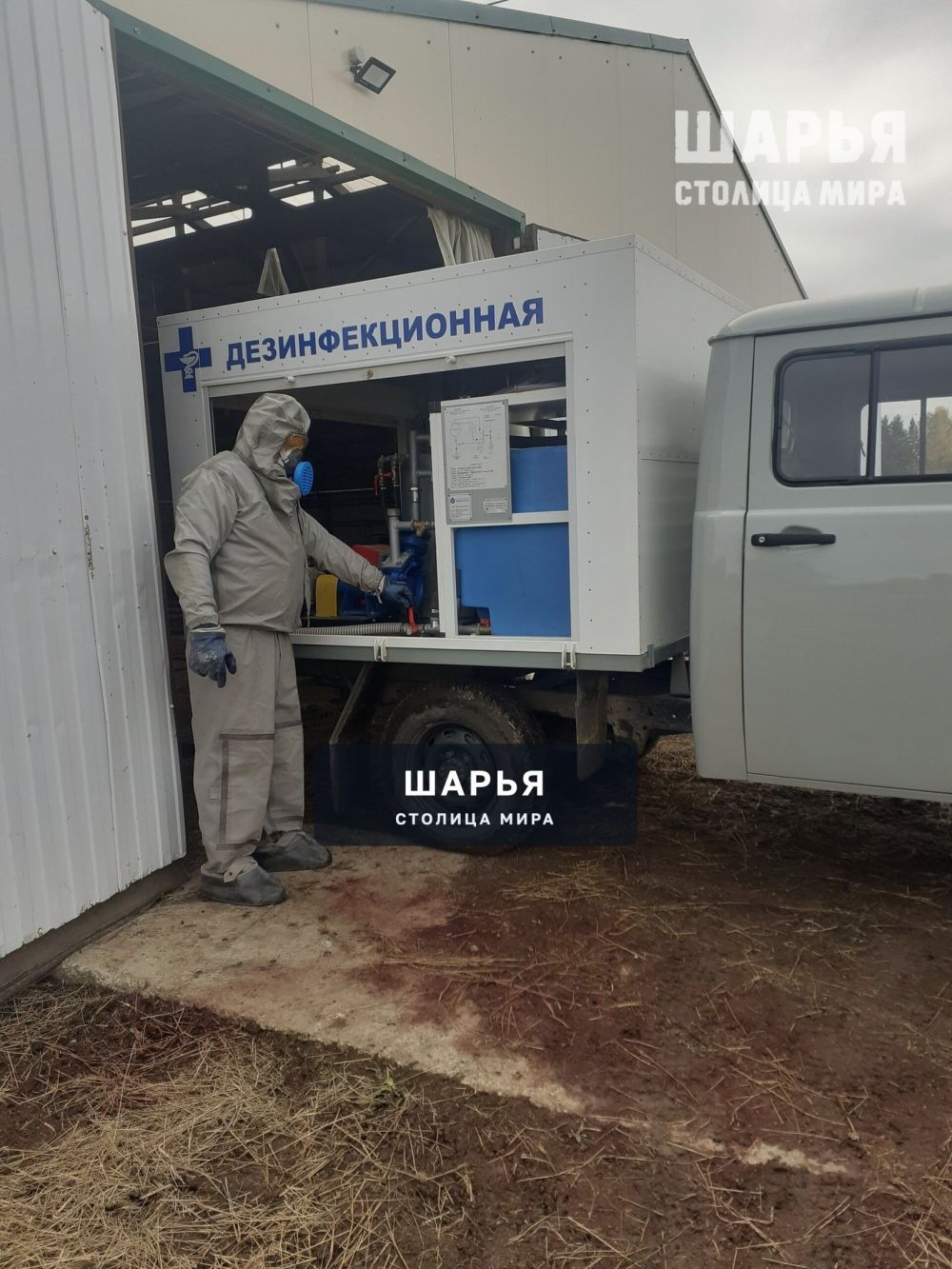 Хозяйства Шарьинского района проводят профилактические дезинфекционные мероприятия — Шарья