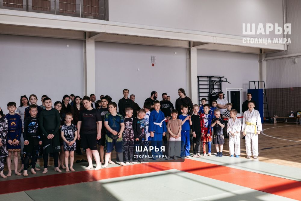 Шарьинские спартанцы вернулись с Вятки при медалях — Шарья