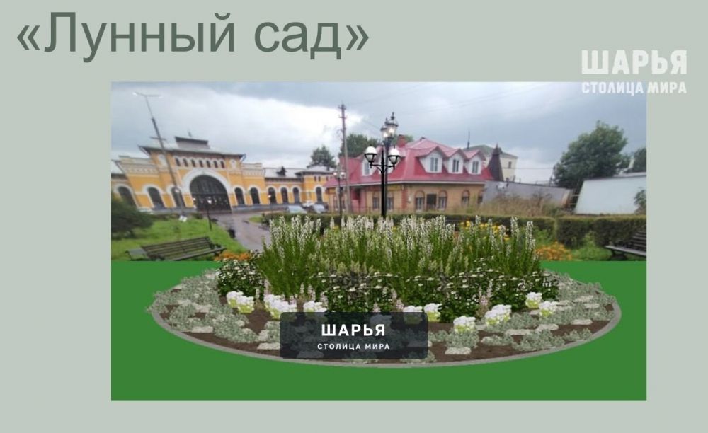 Городская власть предлагает шарьинцам посадить их цветы на общественных клумбах — Шарья — фото 4