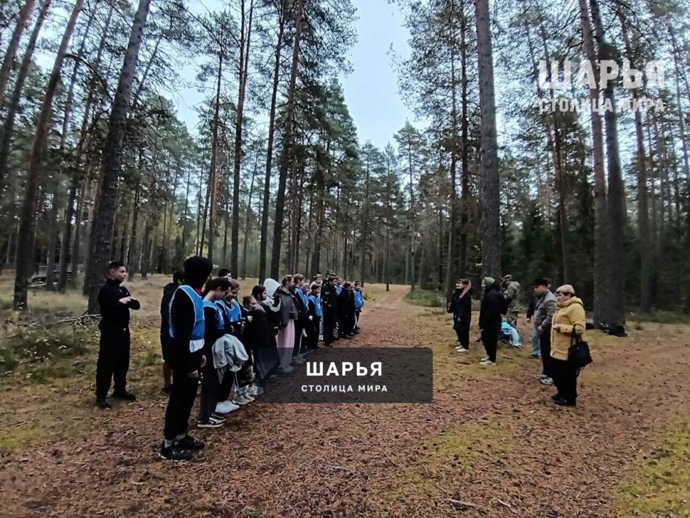 В Шарьинском районе школьники поучаствовали в легкоатлетическом кроссе — Шарья — фото 2
