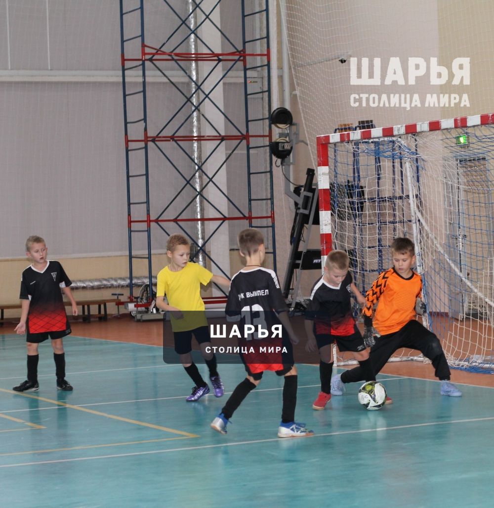 Юные шарьинские футболисты взяли золото на Нижегородчине — Шарья — фото 4