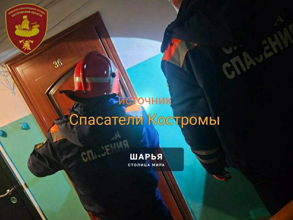 Тело мужчины обнаружили спасатели совместно с полицейскими при вскрытий квартиры в Шарье — Шарья