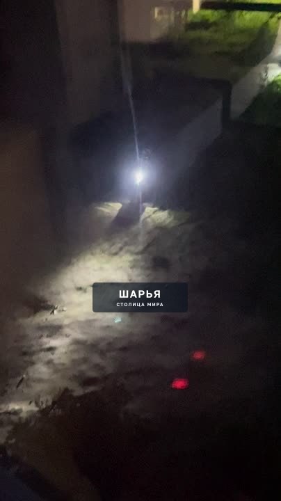 Когда это уже прекратить! — Шарья