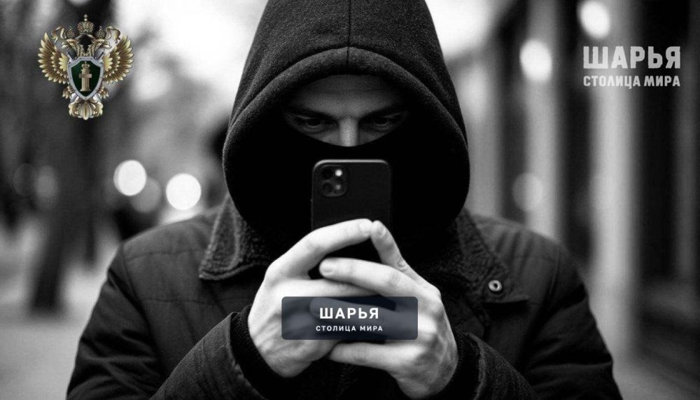 За 11 месяцев текущего года жертвами интернет-преступников стали более 720 жителей региона — Шарья