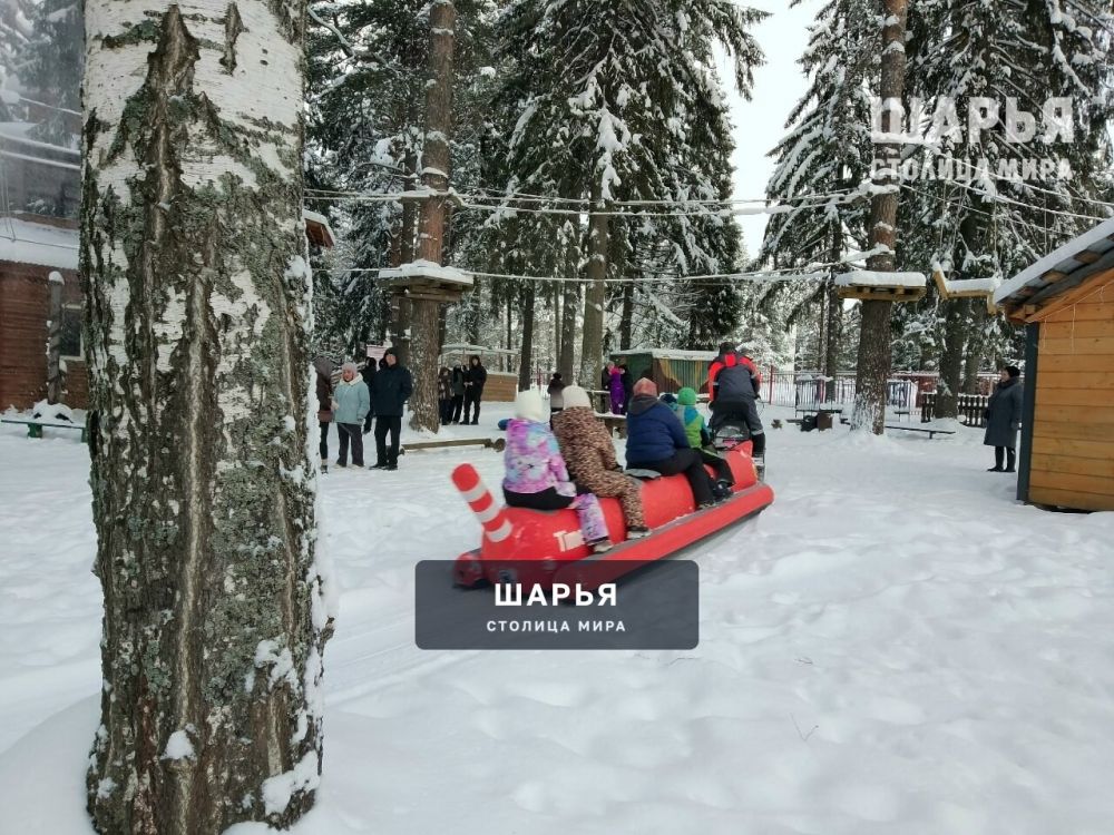 Зимняя сказка в Городском парке Шарьи завораживает — Шарья — фото 6