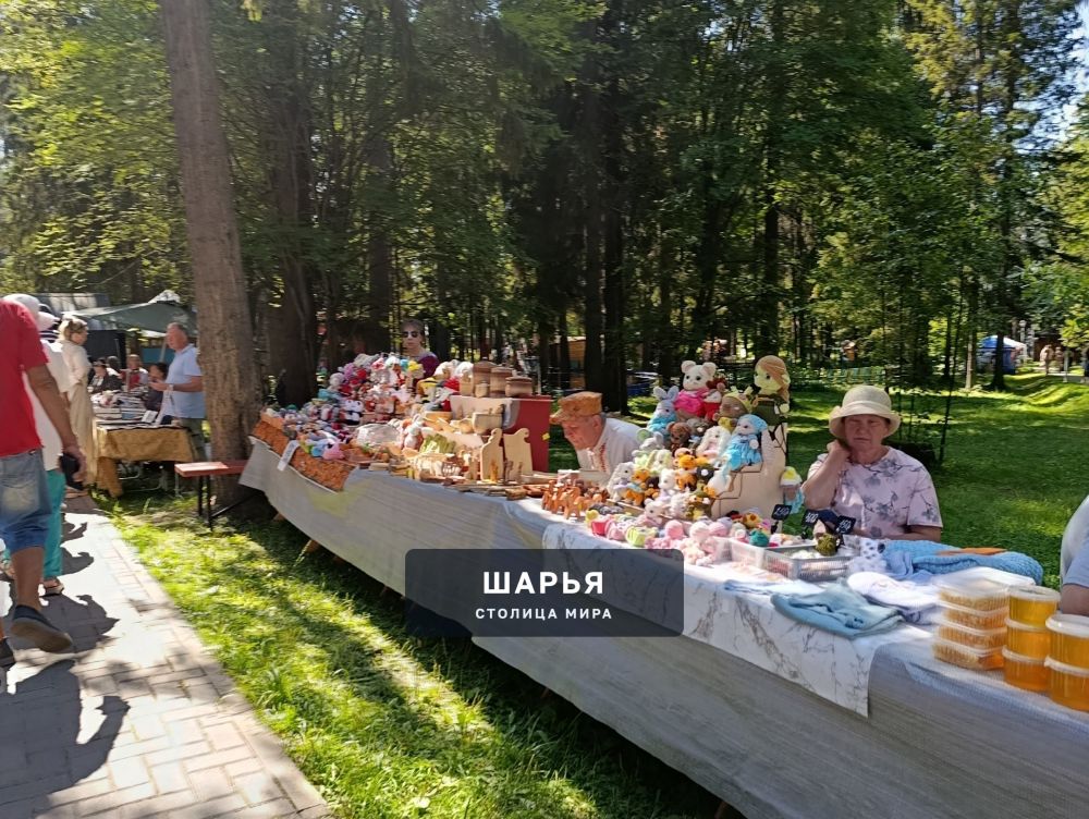 Ярмарка в Городском парке пользуется популярностью — Шарья — фото 3