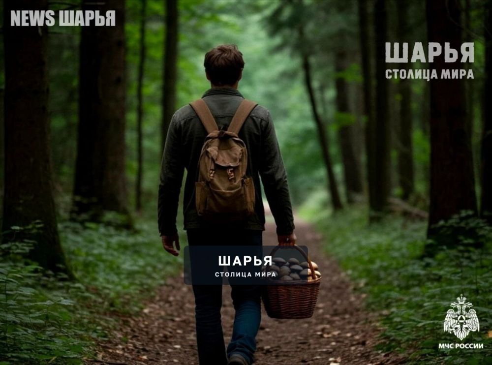 Спасатели напоминают о соблюдении безопасного поведения в лесах — Шарья
