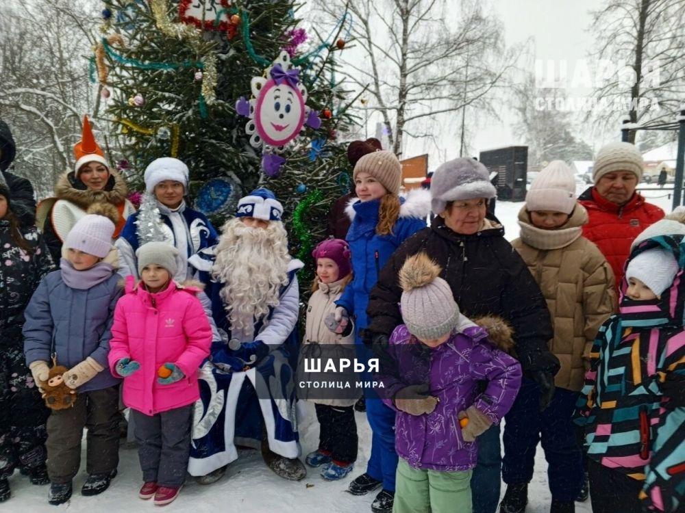 В Новый год с Конём Юлием! — Шарья — фото 4