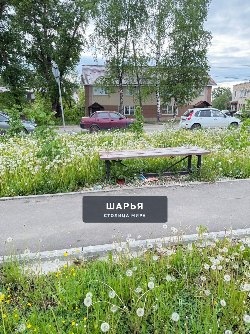 Когда в городе начнут косить? — Шарья