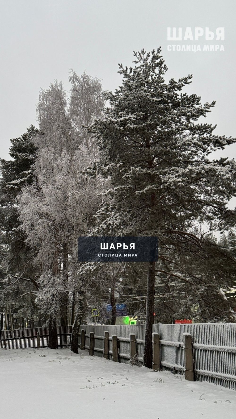Зима пришла — Шарья — фото 3