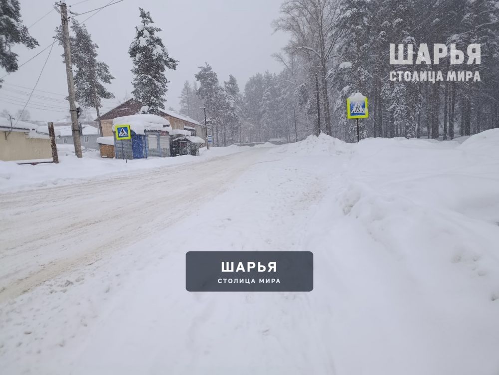 На улицах можно встретить лишь редких пешеходов да автолюбителей на нивах или джипах — Шарья