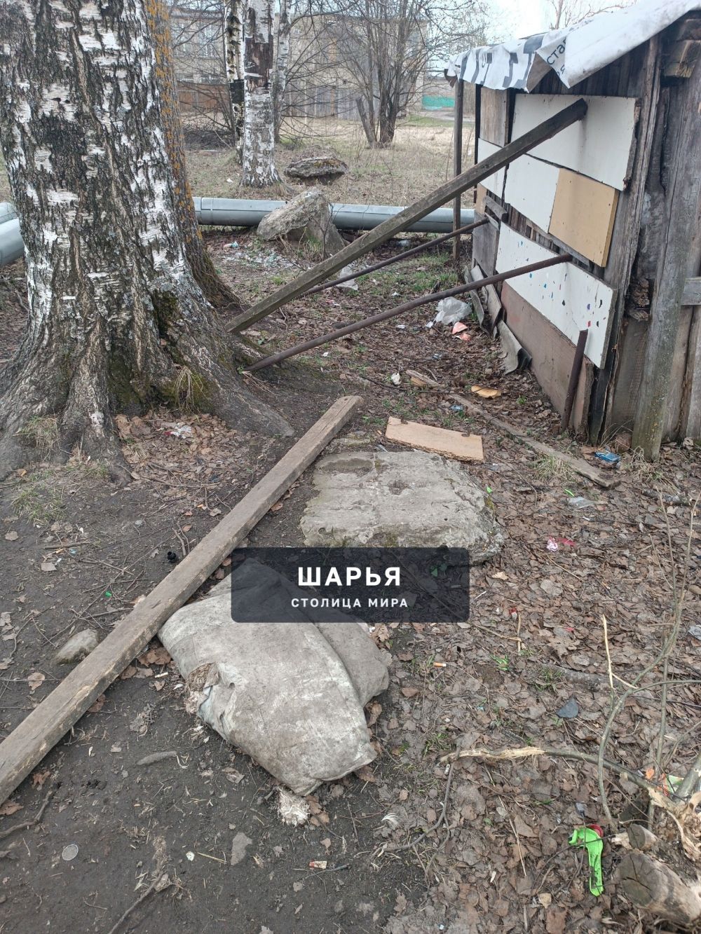 Хотелось бы обратить внимание на ,,экологическую проблему,,нашего микрорайона — Шарья — фото 3