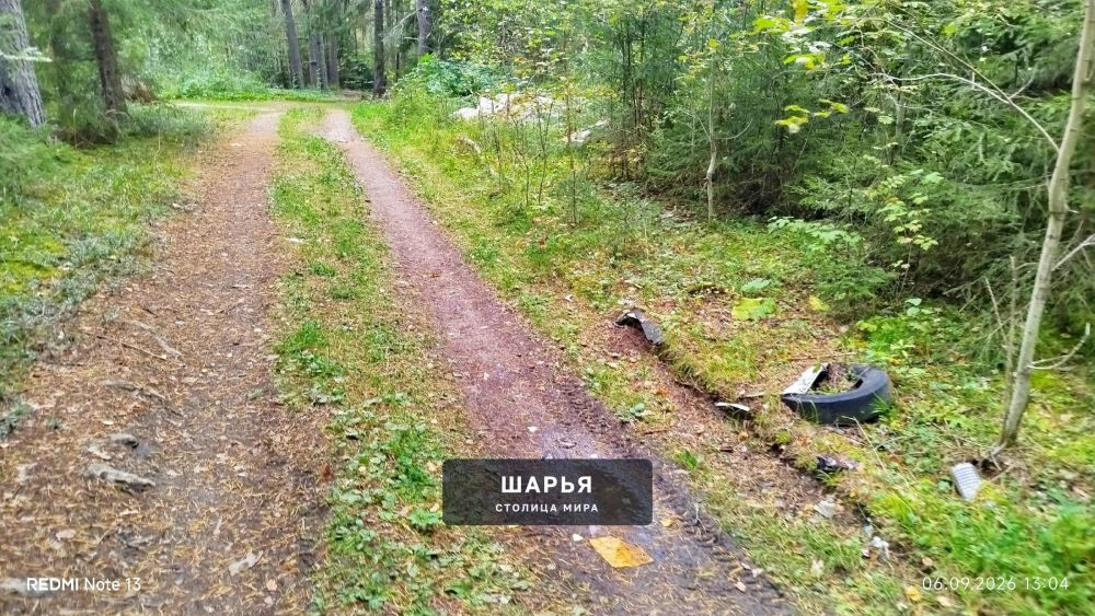Очередная нычка от двуногих поросят была найдена в лесу — Шарья — фото 5
