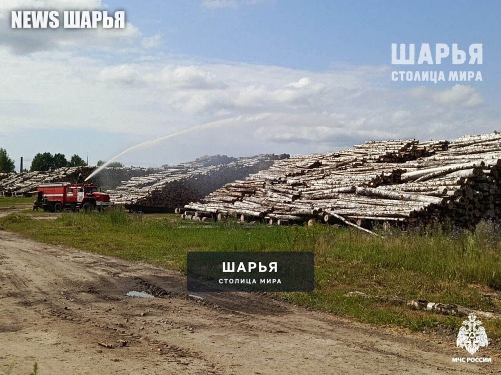 В Шарье на одной из лесопилок загорелся штабель круглого леса — Шарья — фото 5