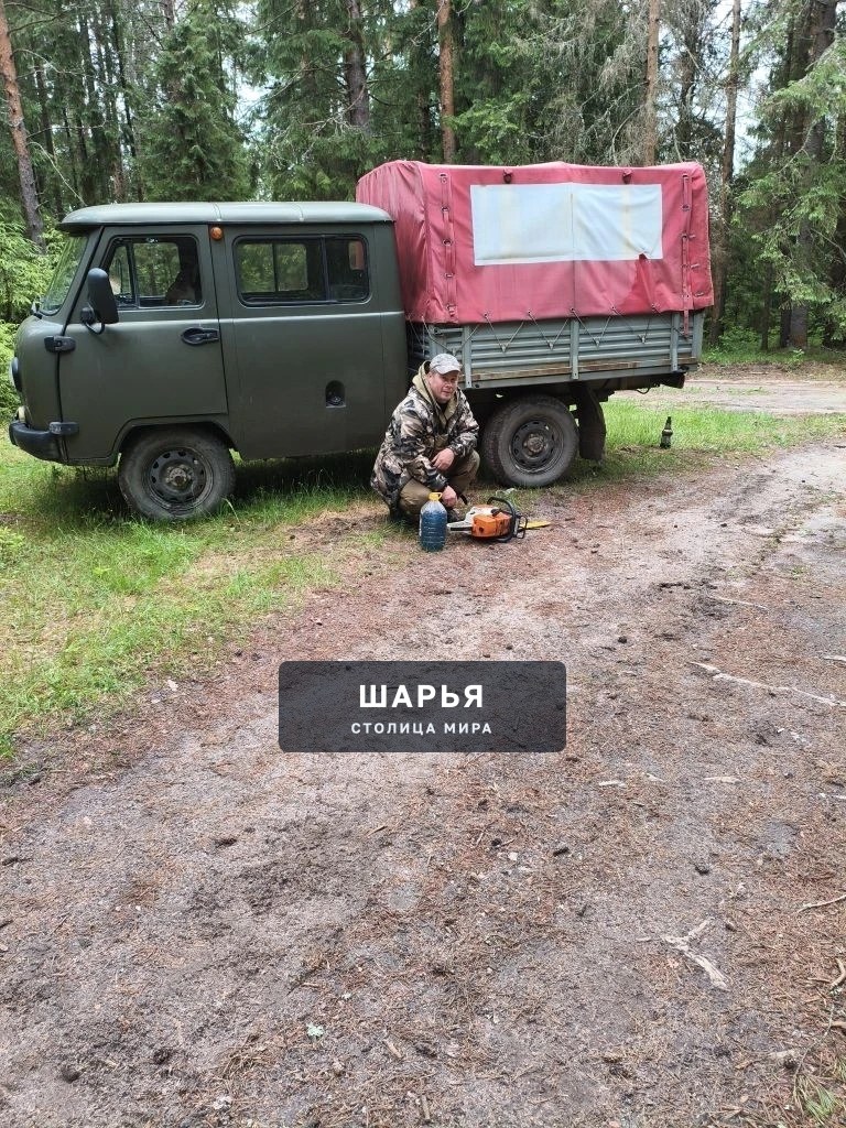 Неликвидная древесина убрана, лес очищен — Шарья — фото 3