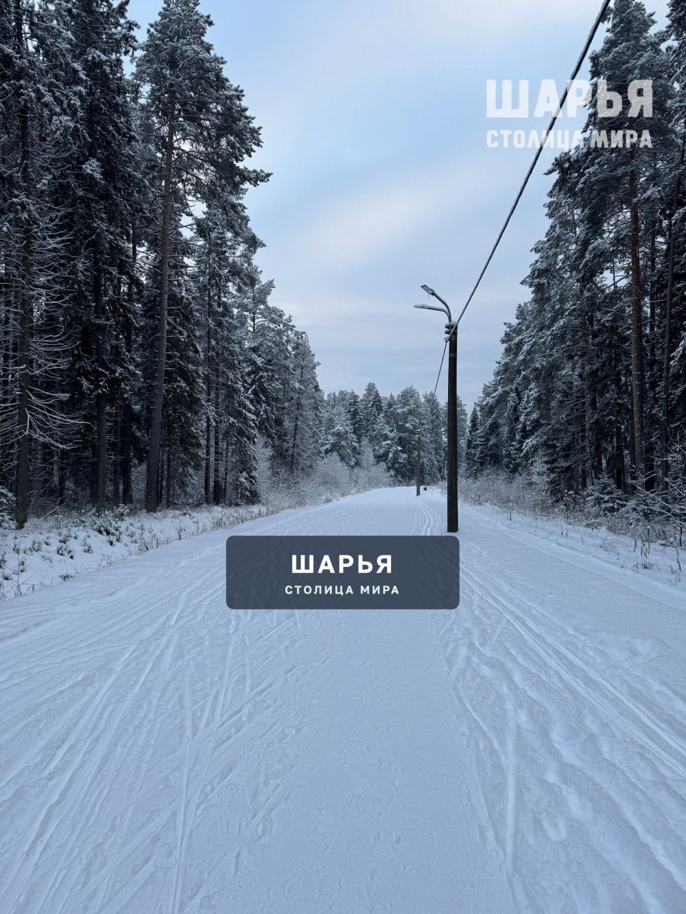 Красота какая в городском парке — Шарья — фото 5