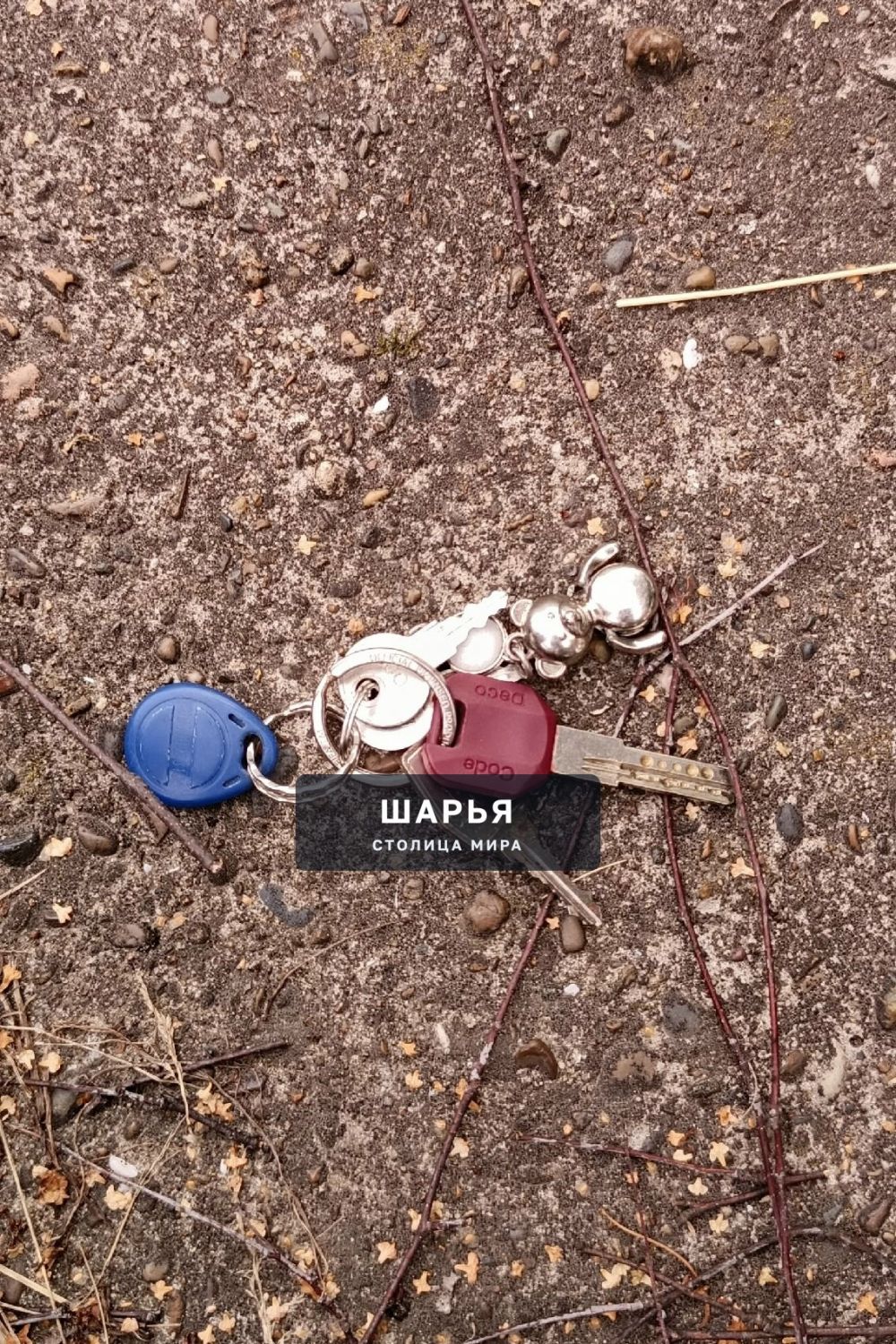 Найдена связка ключей между ул. Толбухина и Суворова — Шарья