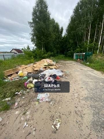 Контейнерная площадка — не свалка! — Шарья — фото 4