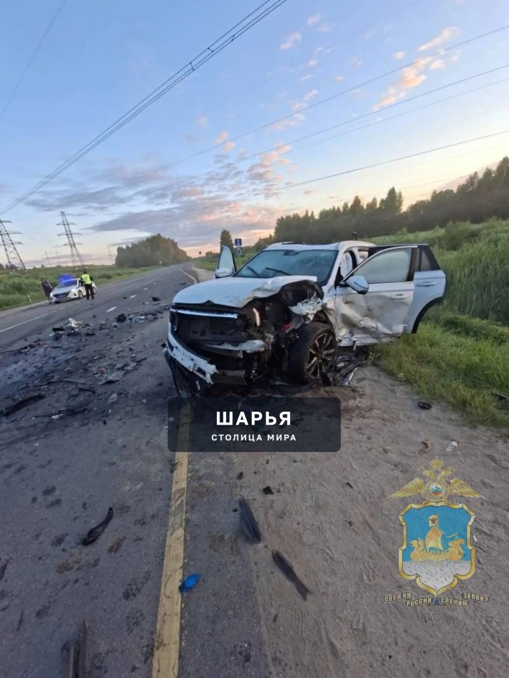 Сохатый стал причиной смерти молодого мужчины — Шарья