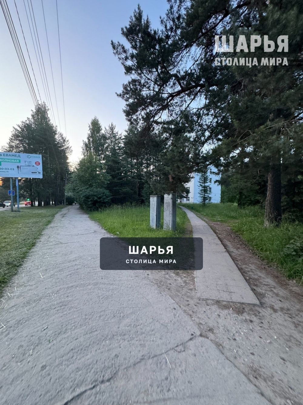 Шарья вечерняя — фото 2