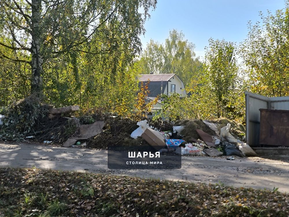 Не вывозят мусор (свалка) ул. Полярников, перекрёсток ул. Суворова 3 недели, уже жутко воняет — Шарья — фото 2
