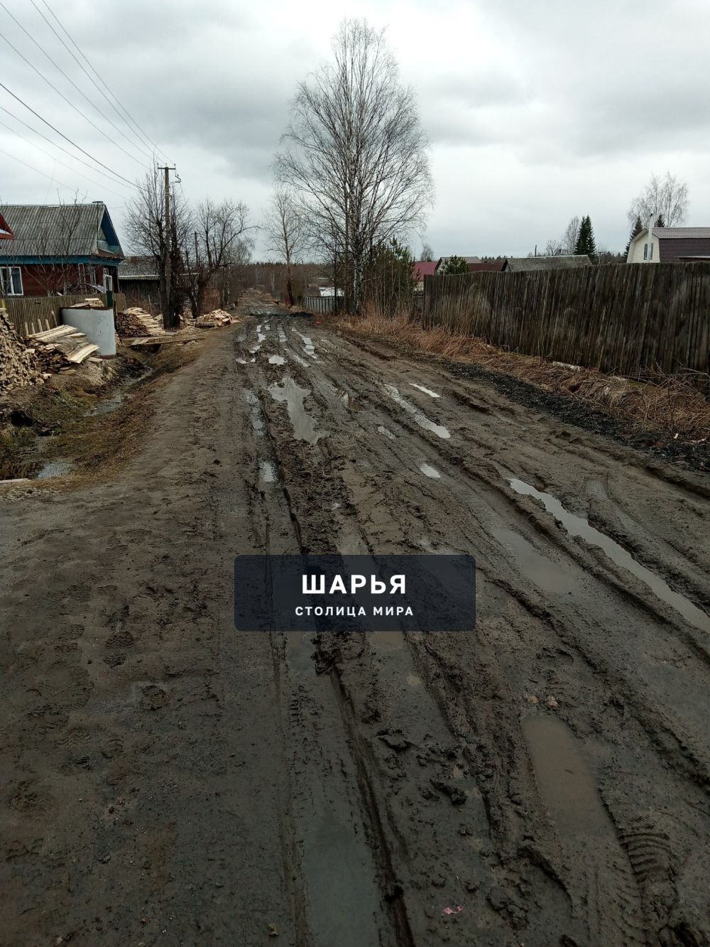 Улица. Речная не проехать вообще сделайте наконец дорогу!!! — Шарья — фото 3