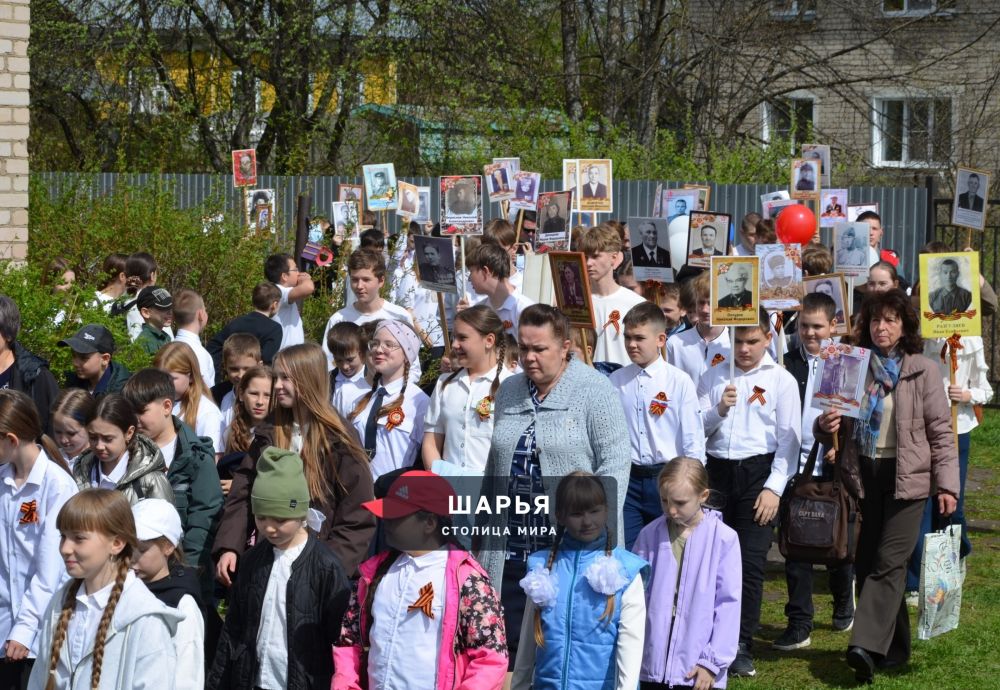Шарьинские школьники организовали свой Бессмертный полк — Шарья — фото 3