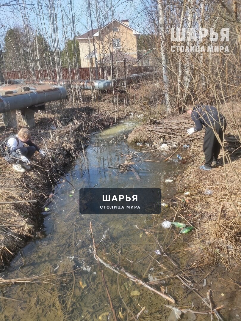 Шарьинские студенты ШПТ приняли участие в благотворительной акции «Чистый город» — Шарья — фото 5