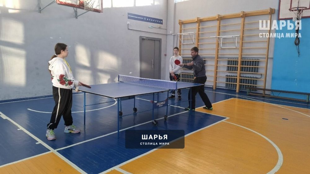 Каникулы с пользой от Шарьинского педколледжа — Шарья — фото 7