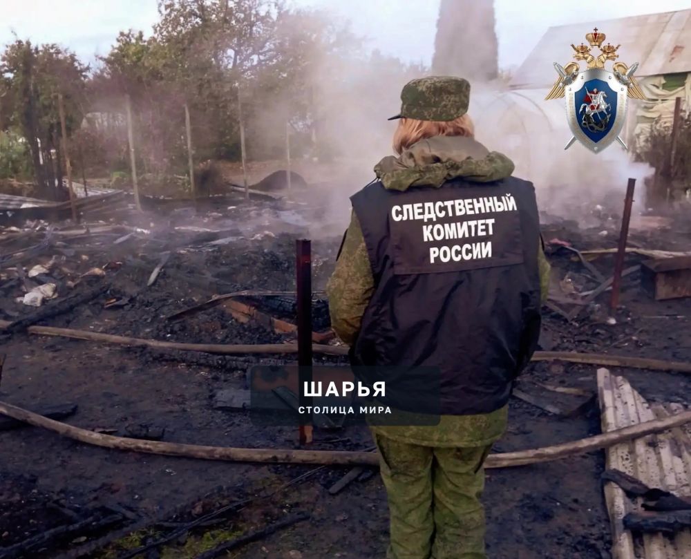 В Нерехте при пожаре погибла 70-летняя женщина — Шарья