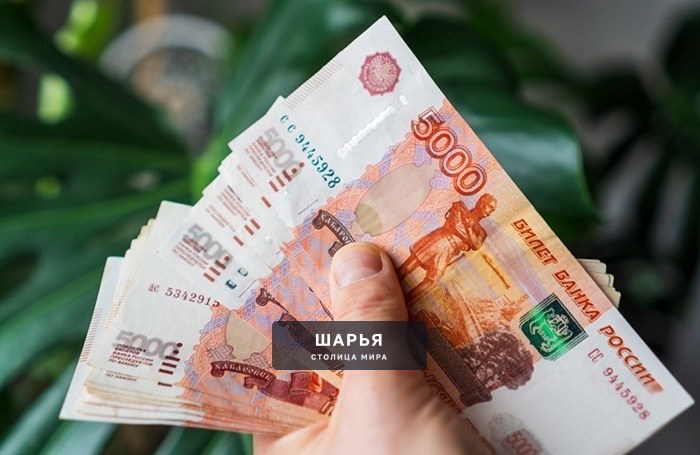 Полицейские с трудом уговорили жительницу костромского поселка не расставаться с деньгами — Шарья