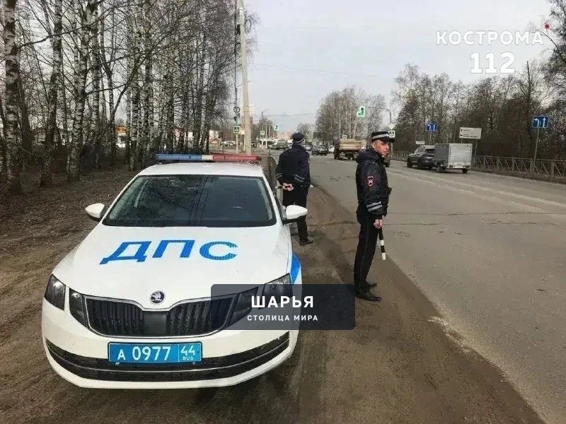 В пяти районах Костромской области усилят проверки водителей — Шарья