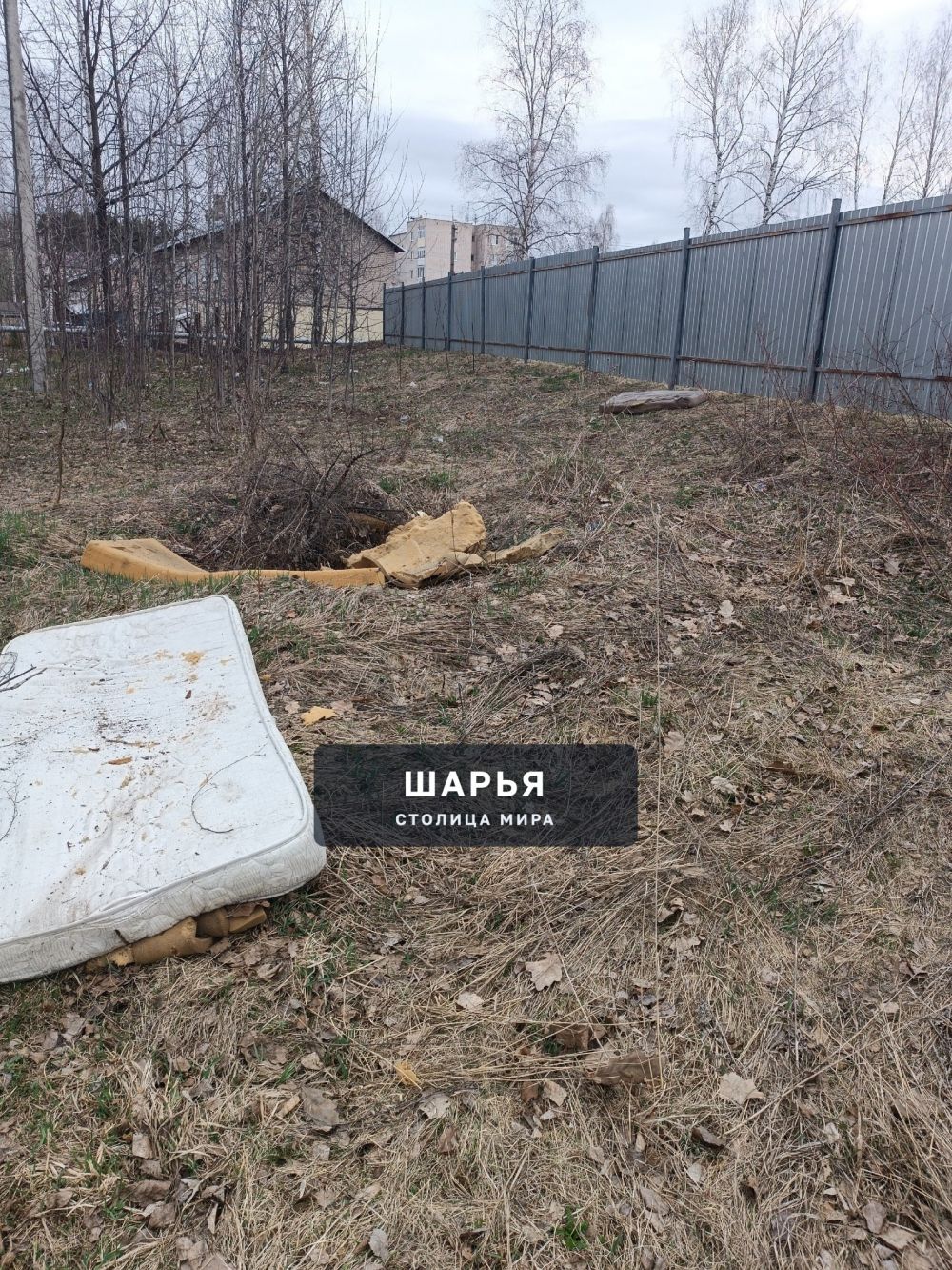 Хотелось бы обратить внимание на ,,экологическую проблему,,нашего микрорайона — Шарья — фото 4