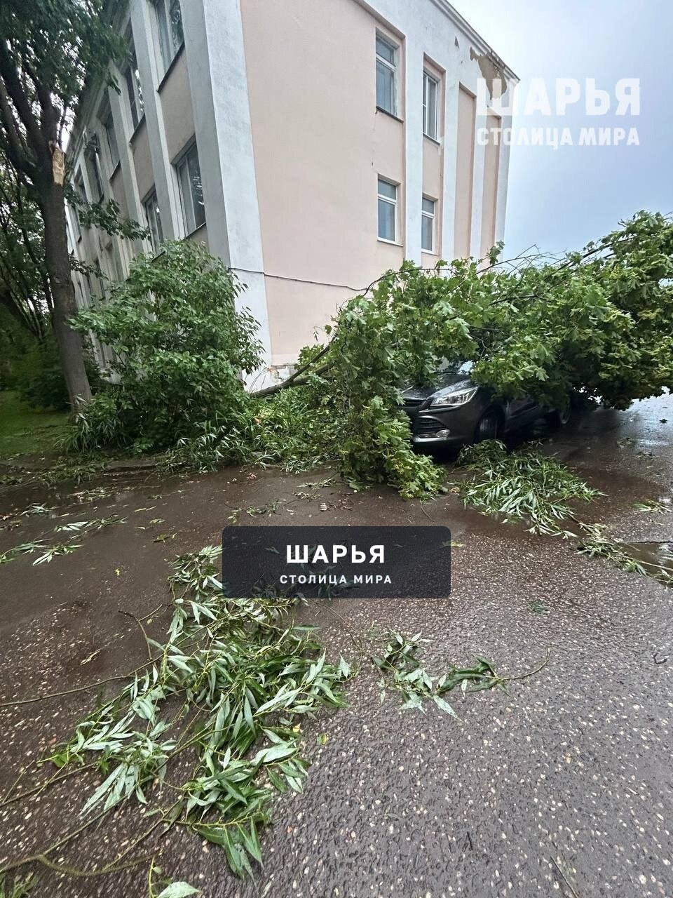 Разрушительная сила урагана в Костроме — Шарья — фото 5
