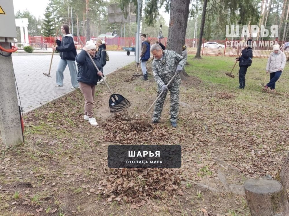 В Городском парке провели субботник — Шарья — фото 3