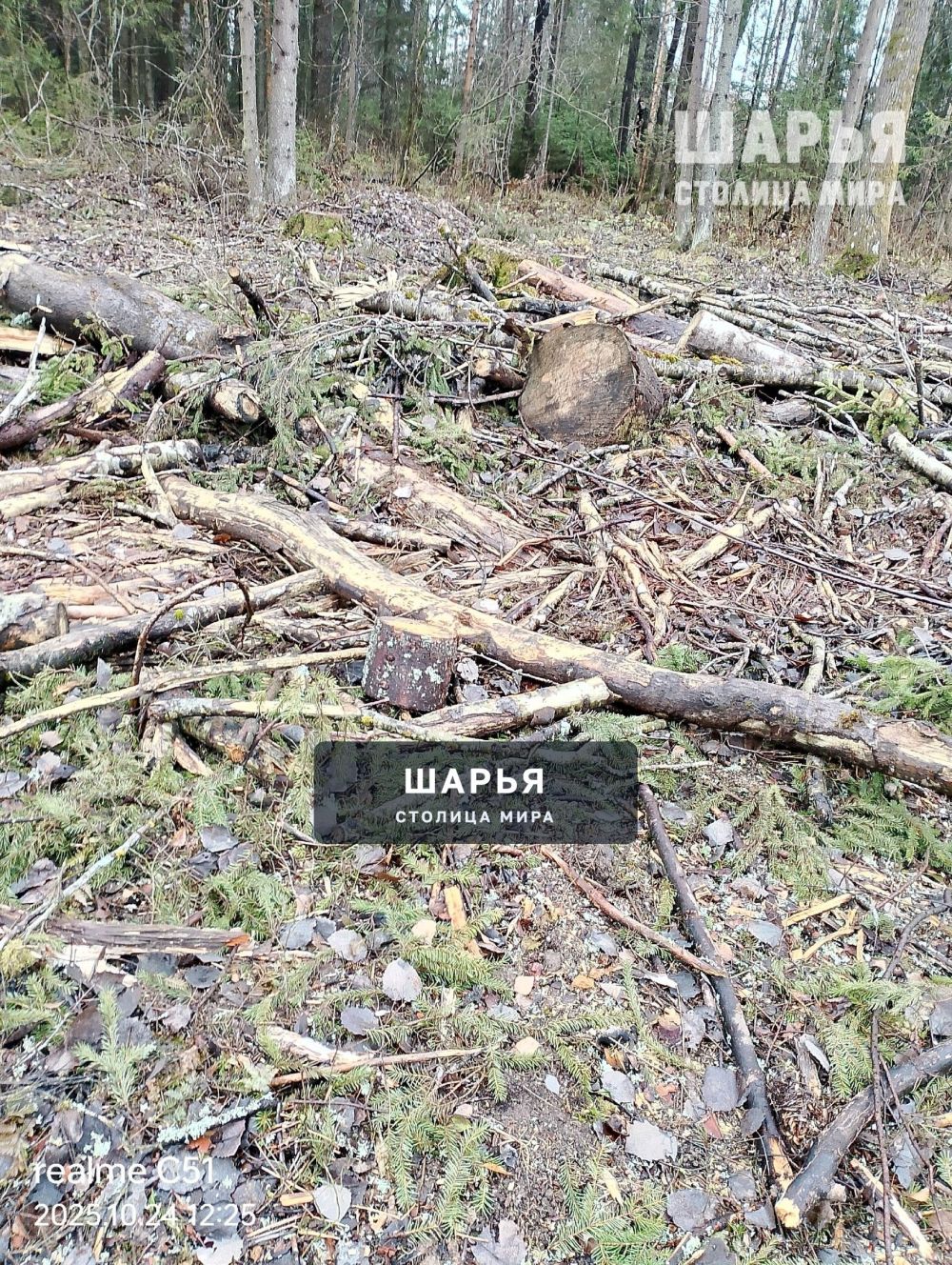 А законно ли это? — Шарья — фото 2