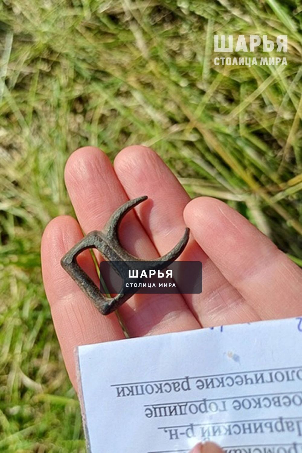 Старшее поколение Шарьи познакомили с подробностями полевого сезона нынешнего года — Шарья — фото 3