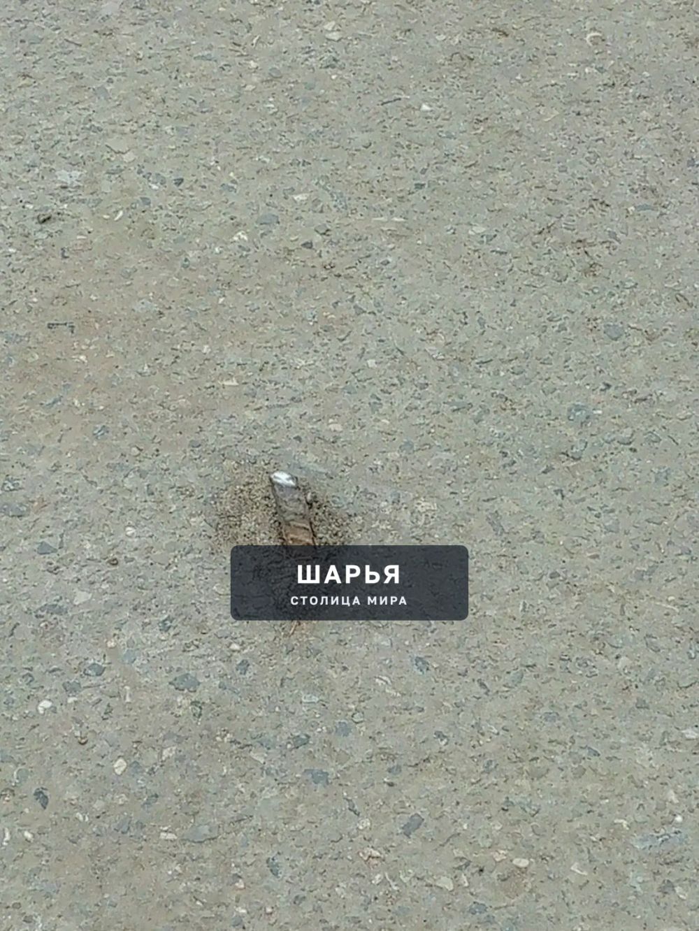 В Шарье сквозь асфальт пробился железный подснежник — Шарья