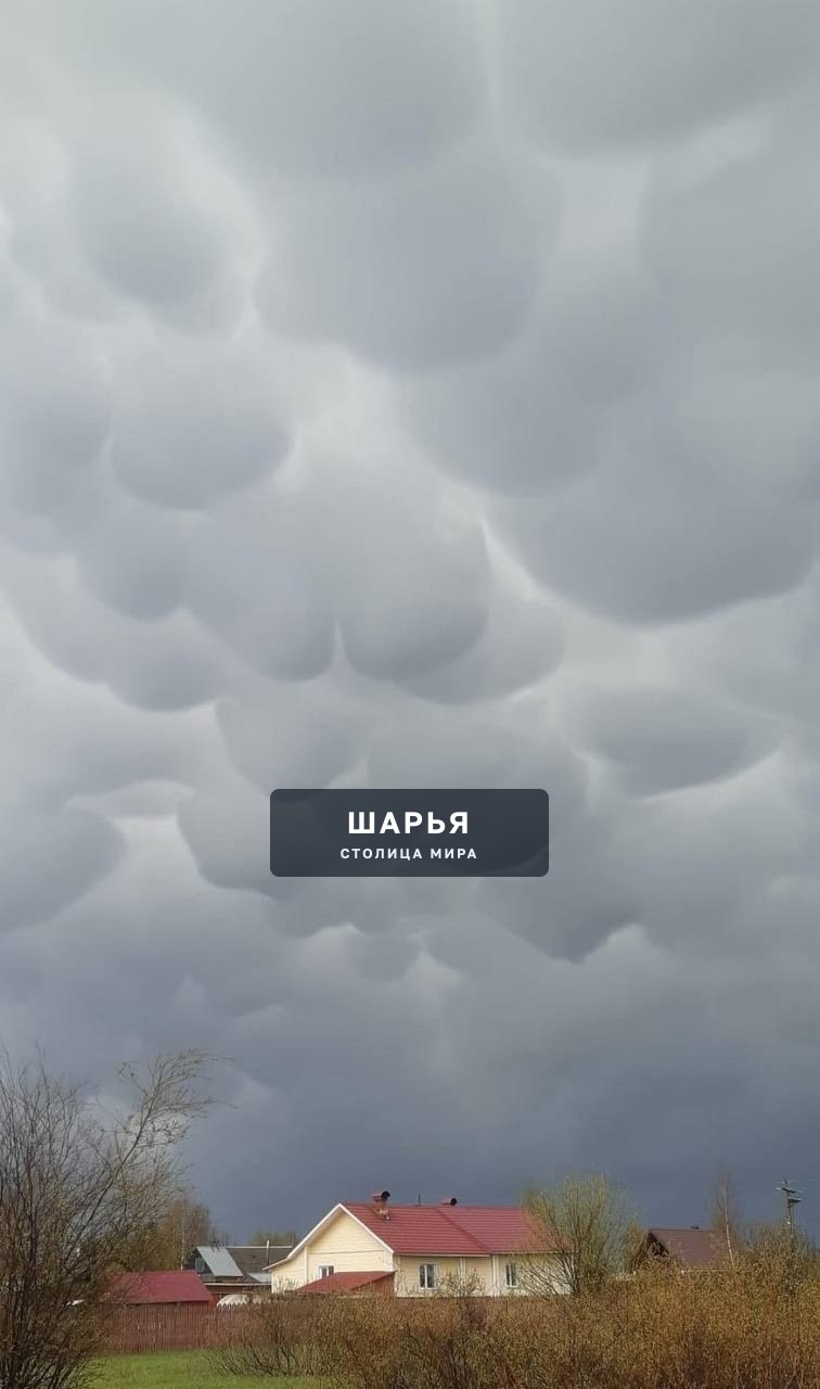 Сразу несколько необычных видов облаков запечатлели в Шарье — Шарья