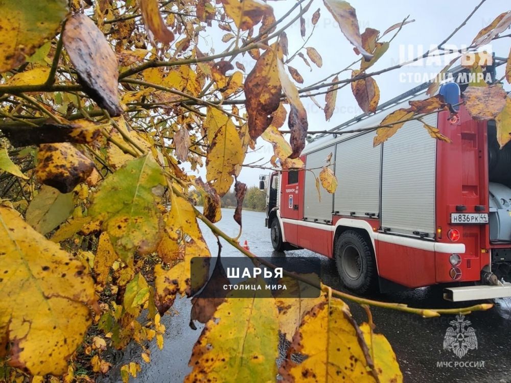 За прошедшую неделю в регионе при пожарах пострадал человек — Шарья