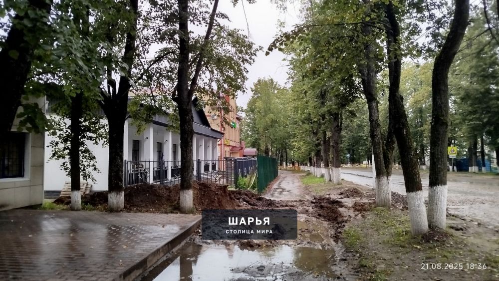 Вот такой тротуар встречает гостей и жителей города, в центре Шарьи, практически напротив… — Шарья — фото 2