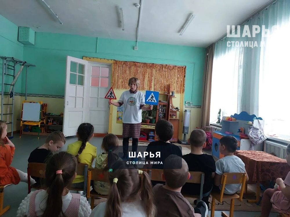 Пешеходный переход: кто прав? — Шарья